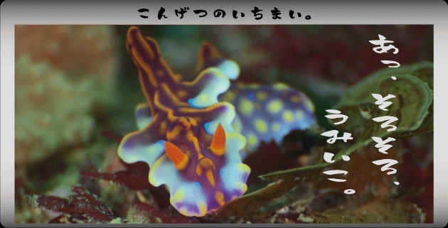 �~�A�~���E�~�E�V