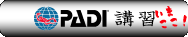 PADI���C�Z���X