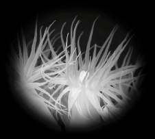 �I�I�J�����M���`���N