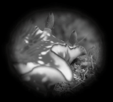 �j�V�L�E�~�E�V