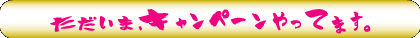 キャンペーン実施中!