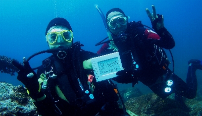 �Q�O�O�{�L�O�B