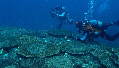 �X���Q��