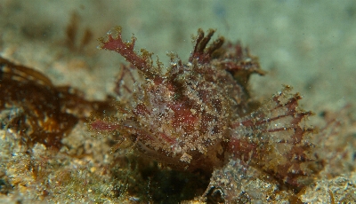 �P���Q�T��