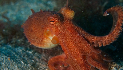 �Q���Q��