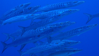 �y�������[