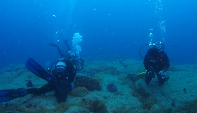 �U���Q�P��