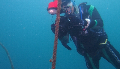 �V���V��