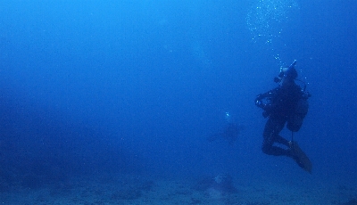 �X���P�T��