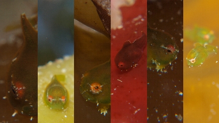 �R���T��