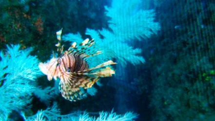 �T���Q�X���B