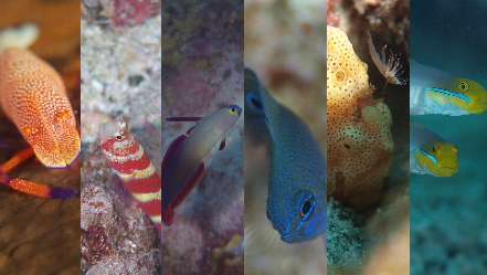 �P�P���Q�O��