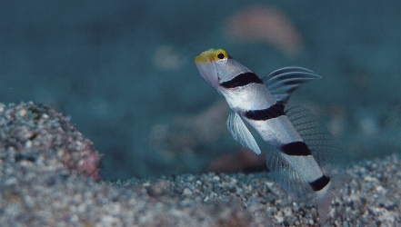 �P���Q�W��