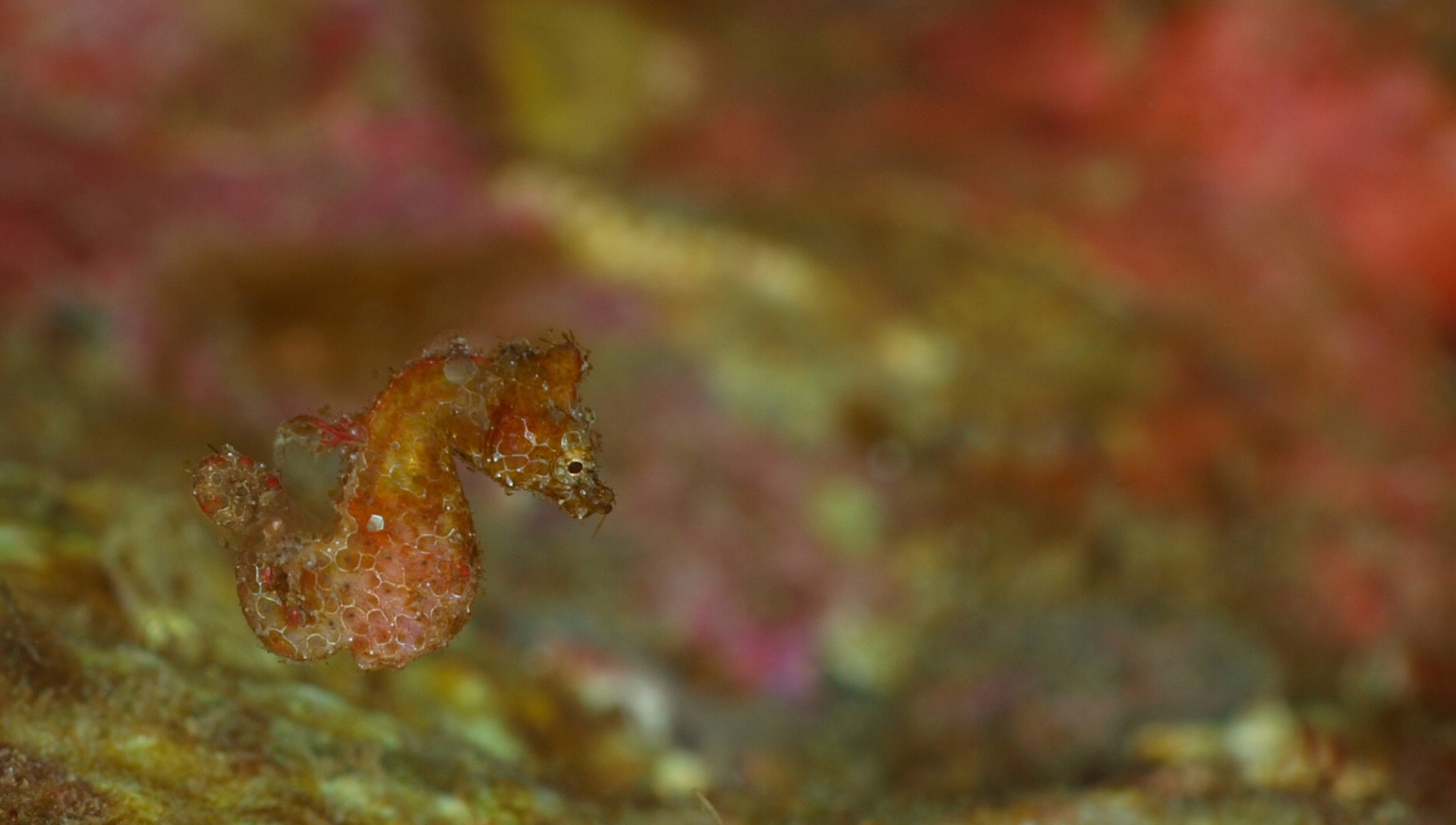 �Q���P�W��