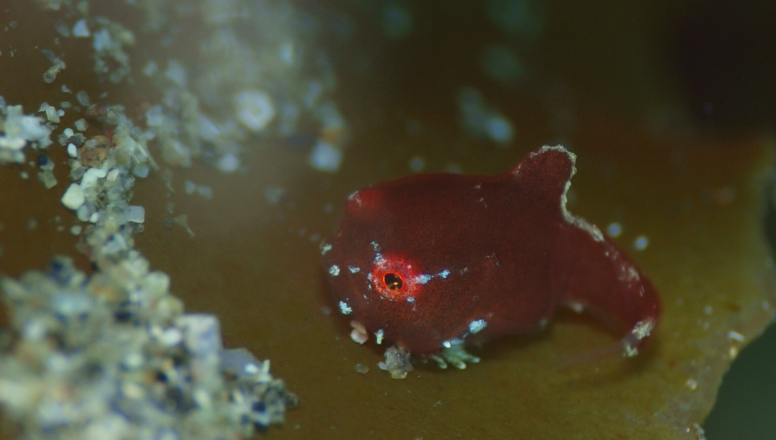 �Q���Q�W��