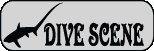 ダイブシーン