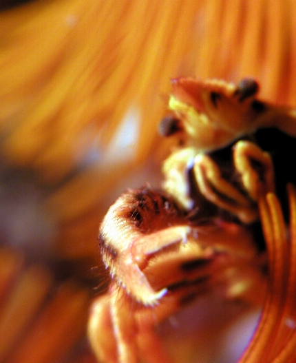 �R�}�`�R�V�I���G�r