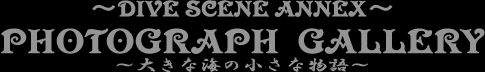 フォトギャラリー